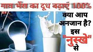Increase animal milk production with herbs. Homemade recipe/formula to increase cow and buffalo m... screenshot 3