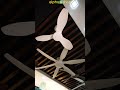 Qulik Spinner Pro Ceiling Fan | Smart Cooling & Premium Modern Design | Alphaeshop
