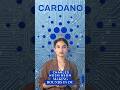 Cardano founder Charles Hoskinson making rounds in DC but why?