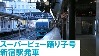 スーパービュー踊り子号　新宿駅発車 / 2020年1月