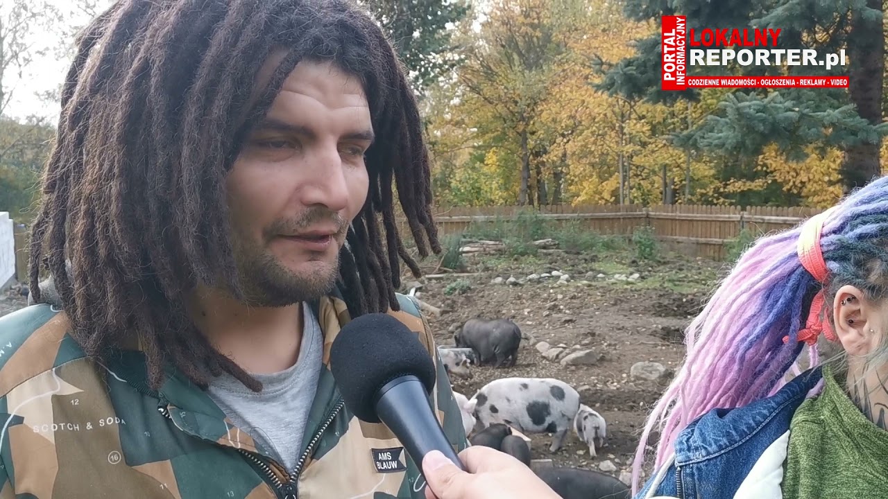 Azyl dla Świń potrzebuje wsparcia