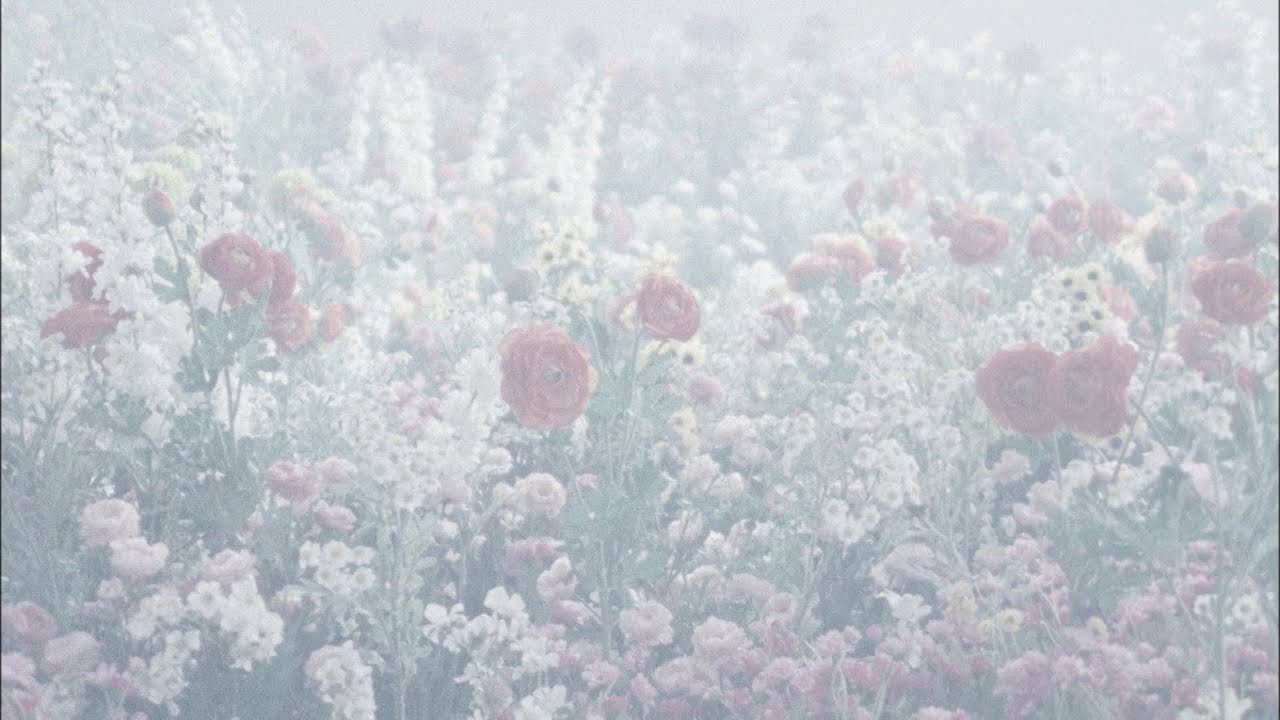 BUMP OF CHICKEN「You were here」 - YouTube