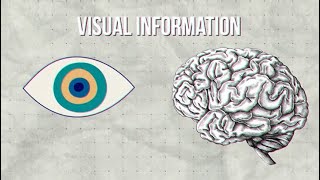 Celebrity How Reading Shapes Your Brain Net Worth