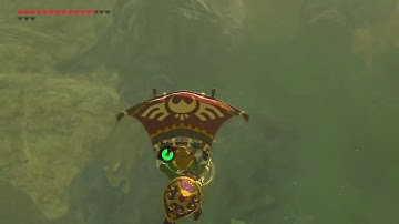 [DAY 706] of finding one korok seed everyday until Totk comes out