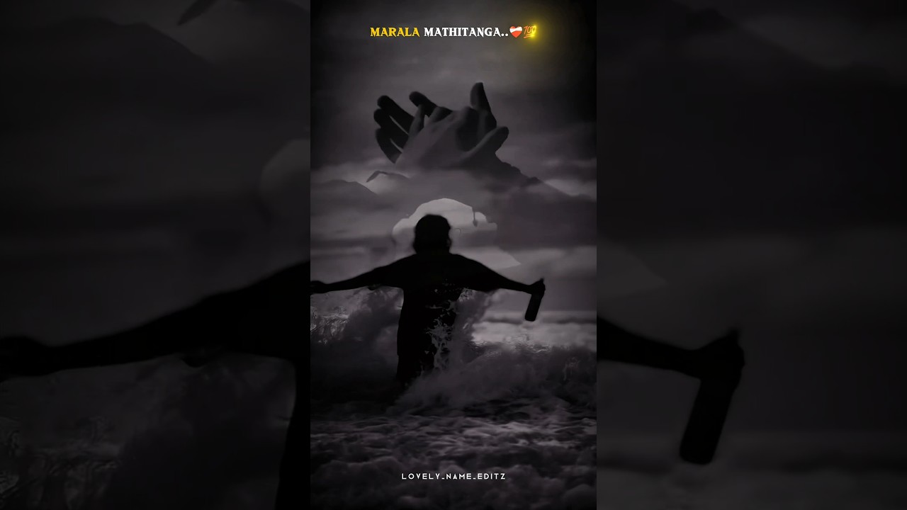 : Nee Ippo La Nee Romba Marita 