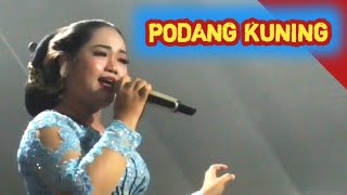 PODANG KUNING JAIPONG - CAMPURSARI CITRA SWARA  - ANA SENJA  - SP AUDIO