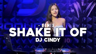 SHAKE IT OF - DJ CINDY ( DISTAN REMIX ) screenshot 2