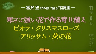 寒さに強い花で作る寄せ植え（ビオラ、クリスマスローズ、アリッサム、菜の花）ー富沢 登が本音で語る花講座ー　富久樹園ch