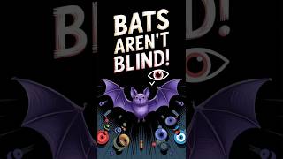 Are Bats Really Blind? The Truth Behind the Myth!