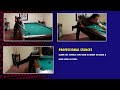 Professional Pool Stances - Free Pool Lessons