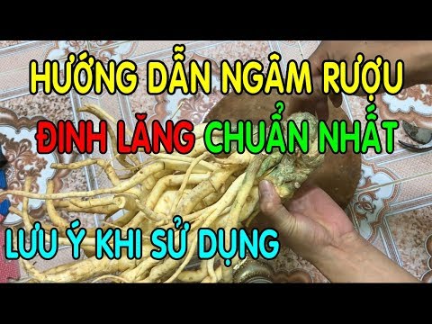 Video Hướng dẫn ngâm rượu Đinh Lăng chuẩn nhất - Tác dụng... - youtube