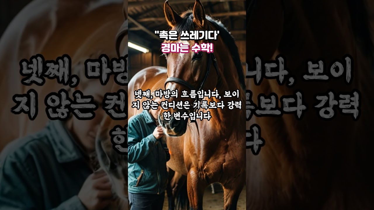 경마는 수학적 확률! 촉은 쓰레기다