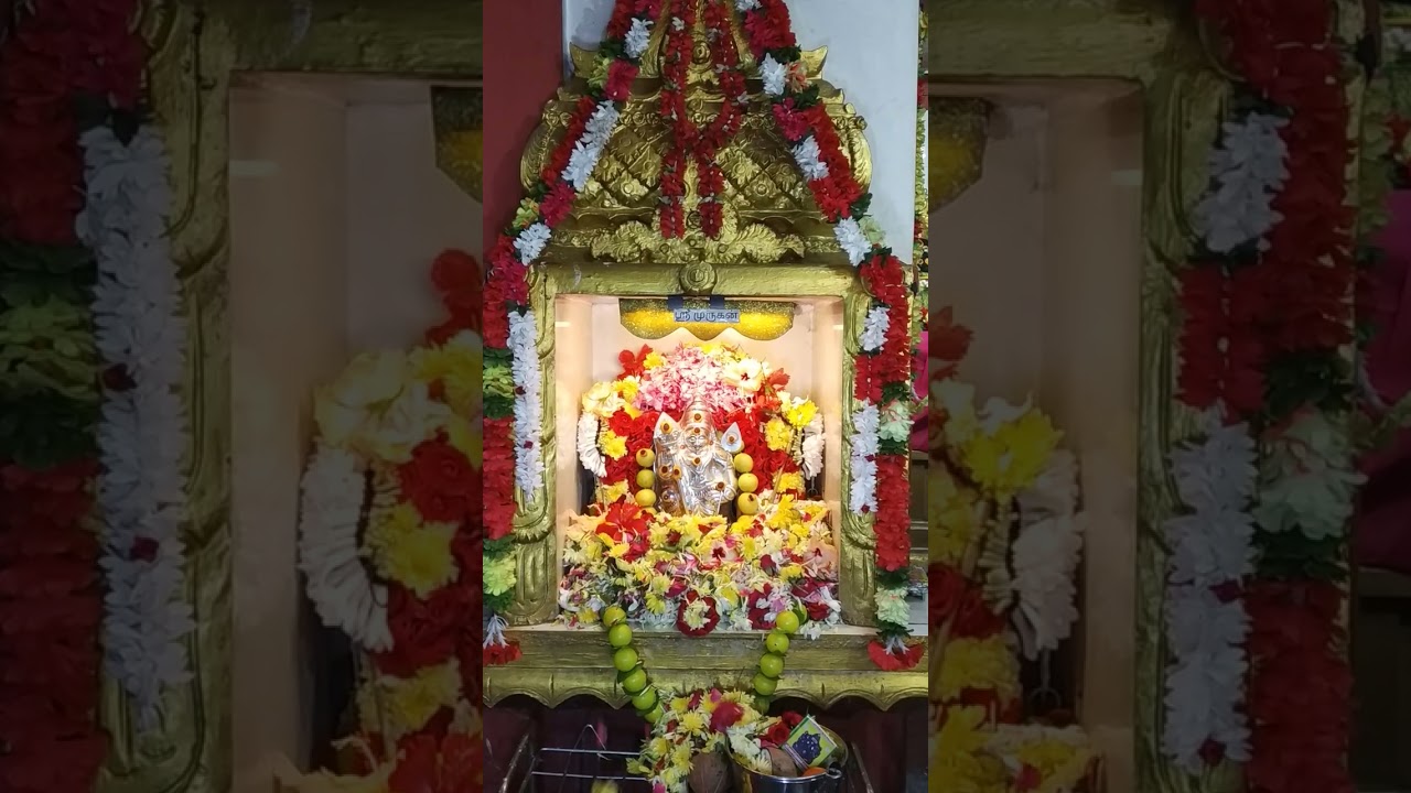 24.02.26 கிருத்திகை. அழகன் முருகனுக்கு அபிஷேகம் அலங்காரம் மற்றும் தீபாராதனை.