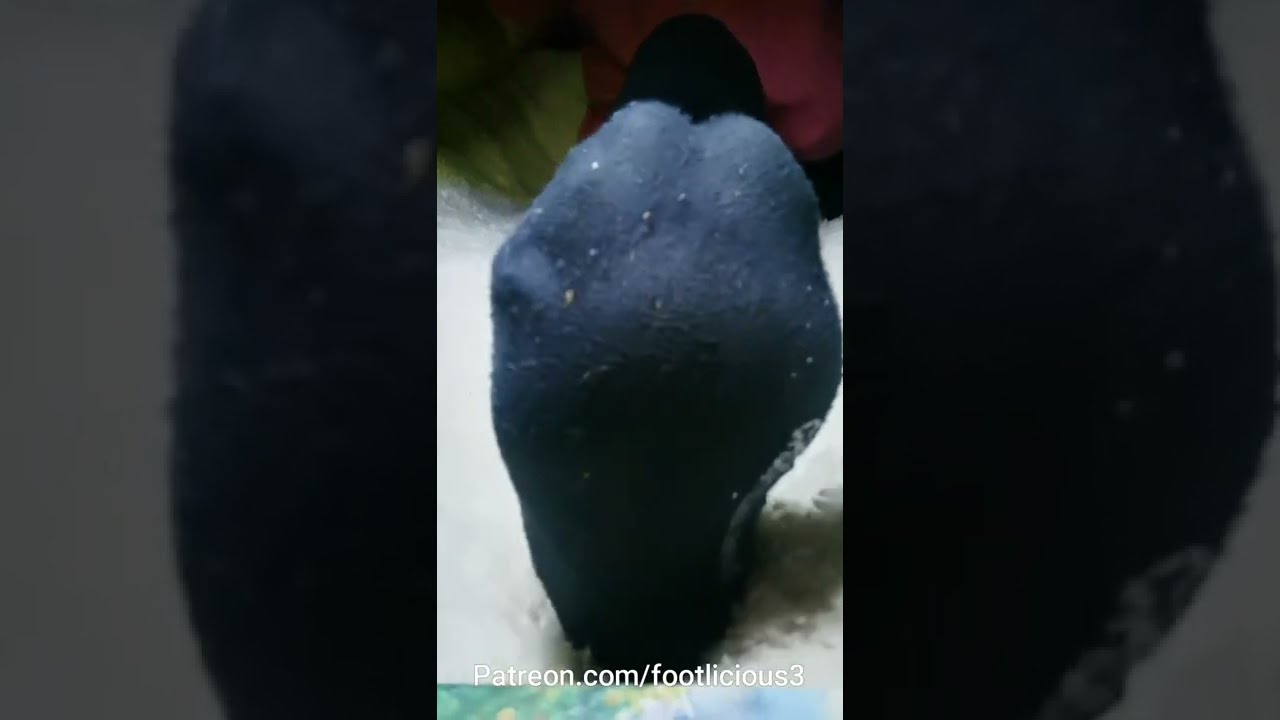 Toe-jam Popsicle and Socks Lint Ice-cream