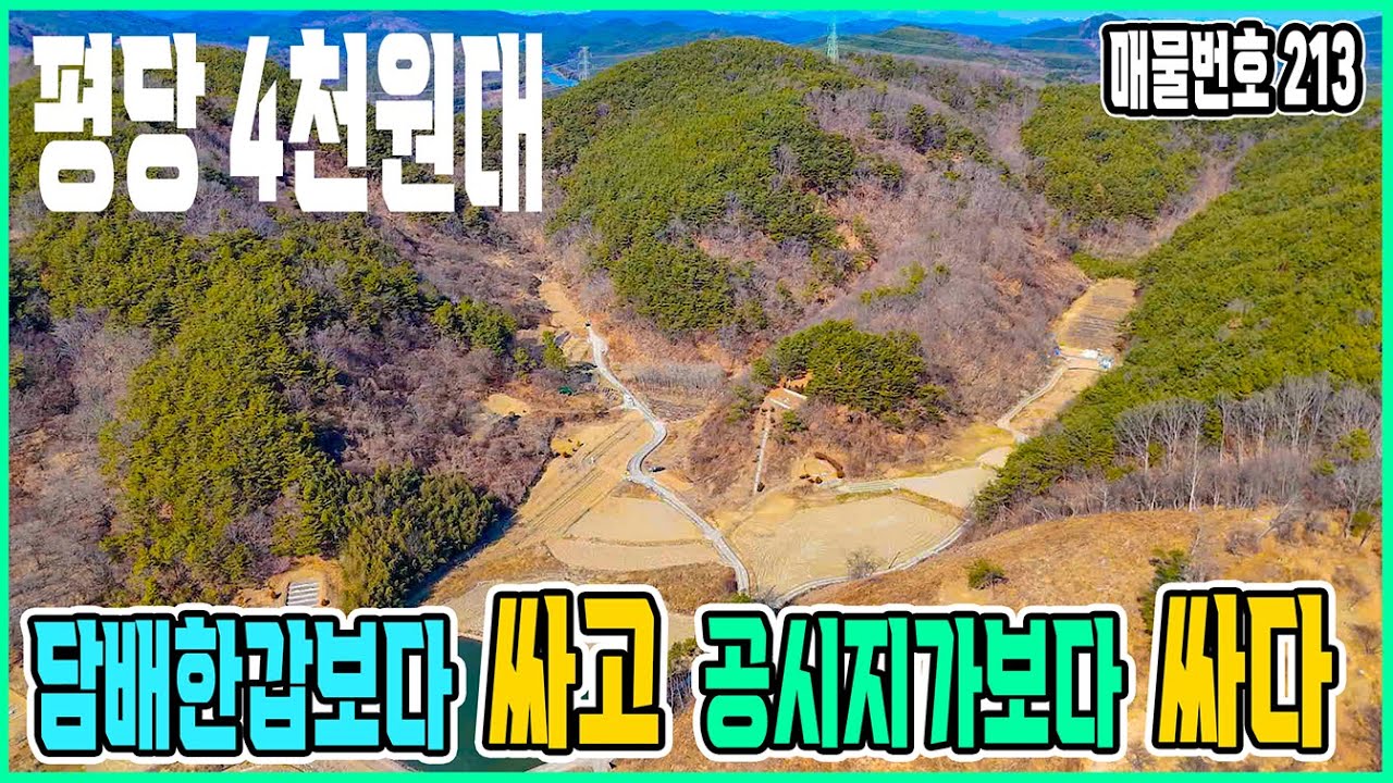 투자용으로 조건 끝판왕 #산청대형임야