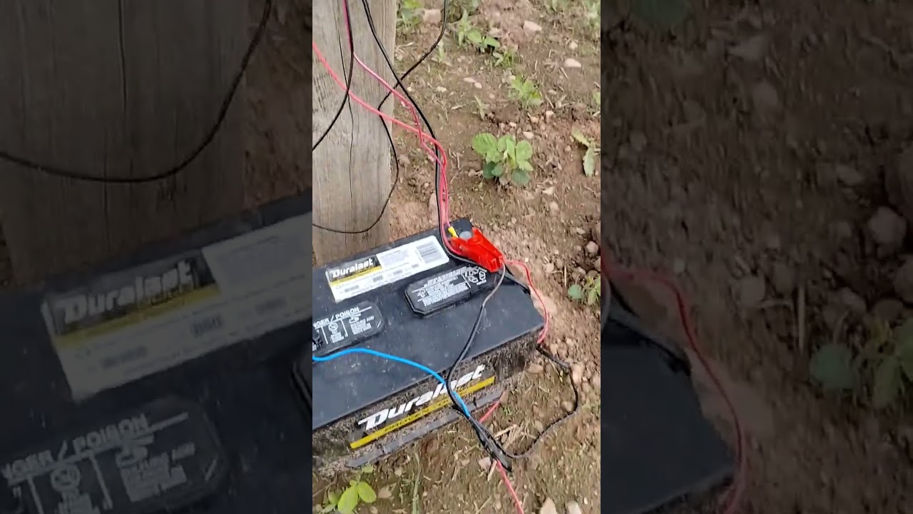 Electric fence going strong// 