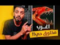 كم كان عمرك 6 | اكبر مخلوق على وجه الارض حي ( تعال شوف وانصدم ) 😳💨