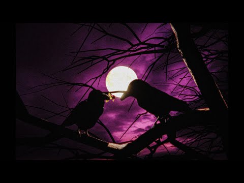 Sub Urban Mercury Official Animation 