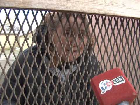rio gallegos weather RUTH MUÑOZ- TRABAJADORES TOMARON EL POLICLÍNICO SAN JOSÉ TRAS EL CIERRE