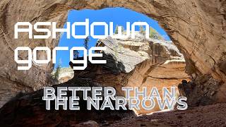 Ashdown Gorge: Better than the Narrows