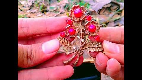 find treasure underground - my metal detector found hidden treasure