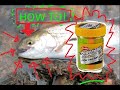 How to fish with PowerBait - Tips & tricks