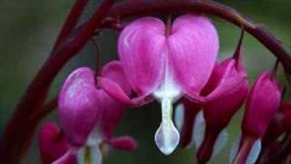 Listen To Your Heart Remix Dj Agorp