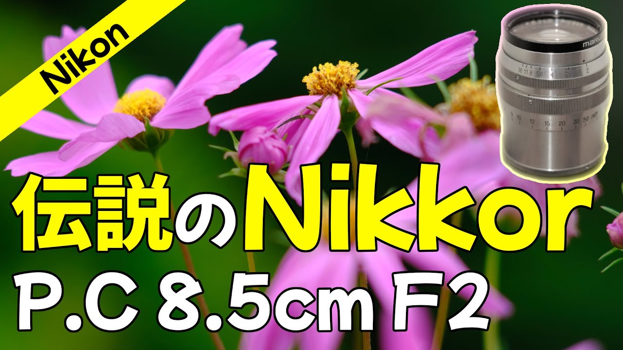 レビュー】Nikon伝説の始まり！オススメの中望遠オールドレンズ Nikkor