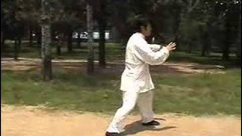 Xu Shixi Chen Style Taiji First Form, Level 3   Switching between Postures
