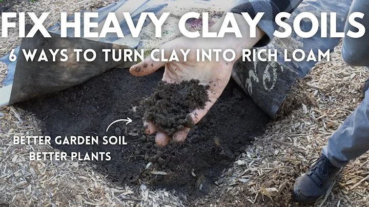 6 Ways to Fix Clay Garden Soil | EASY to HARD Meth...
