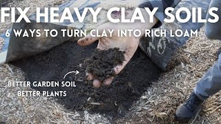 6 Ways to Fix Clay Garden Soil | EASY to HARD Methods by Diego Footer 216,143 views 2 years ago 12 minutes, 34 seconds