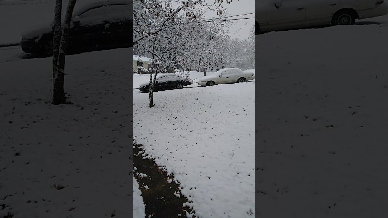 Daily Life Chronicles; It's Snowing in Birmingham Alabama YouTube