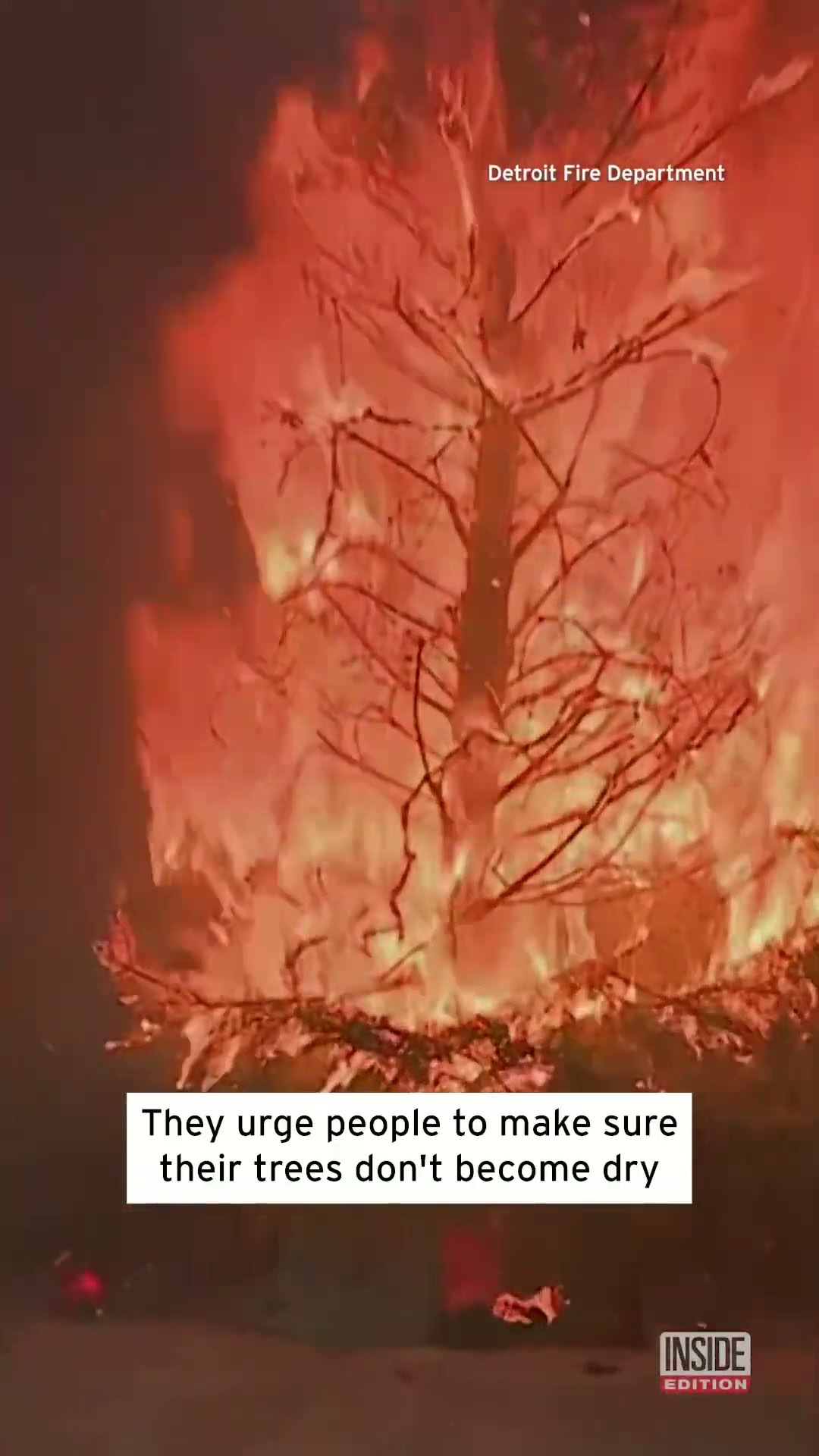 Christmas Tree Turns Into Inferno in Seconds #shorts