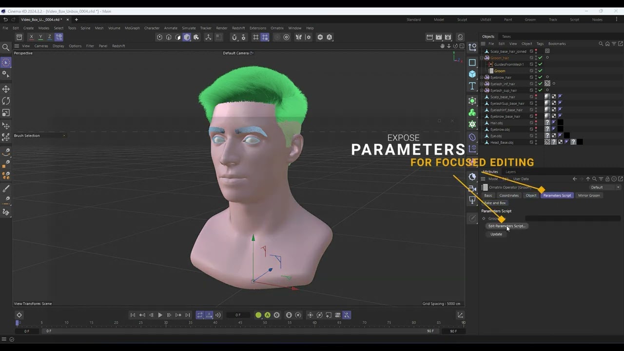 Ornatrix C4D: Boxing and Unboxing