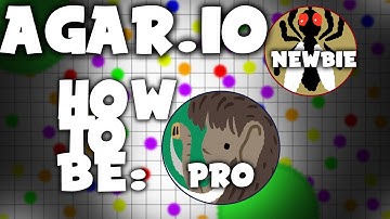 Skilled Agario Gameplay | New Splitrun | Pro Trick | BV SPLIT