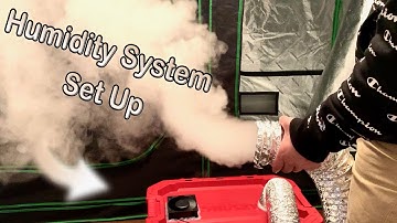 How to Build a Humidity System for Growing Mushrooms