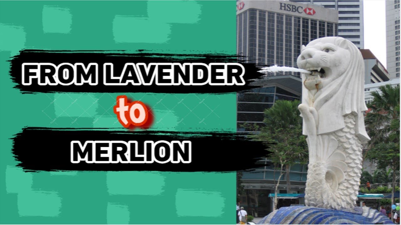 FROM MRT LAVENDER TO MERLION || [June 2023]