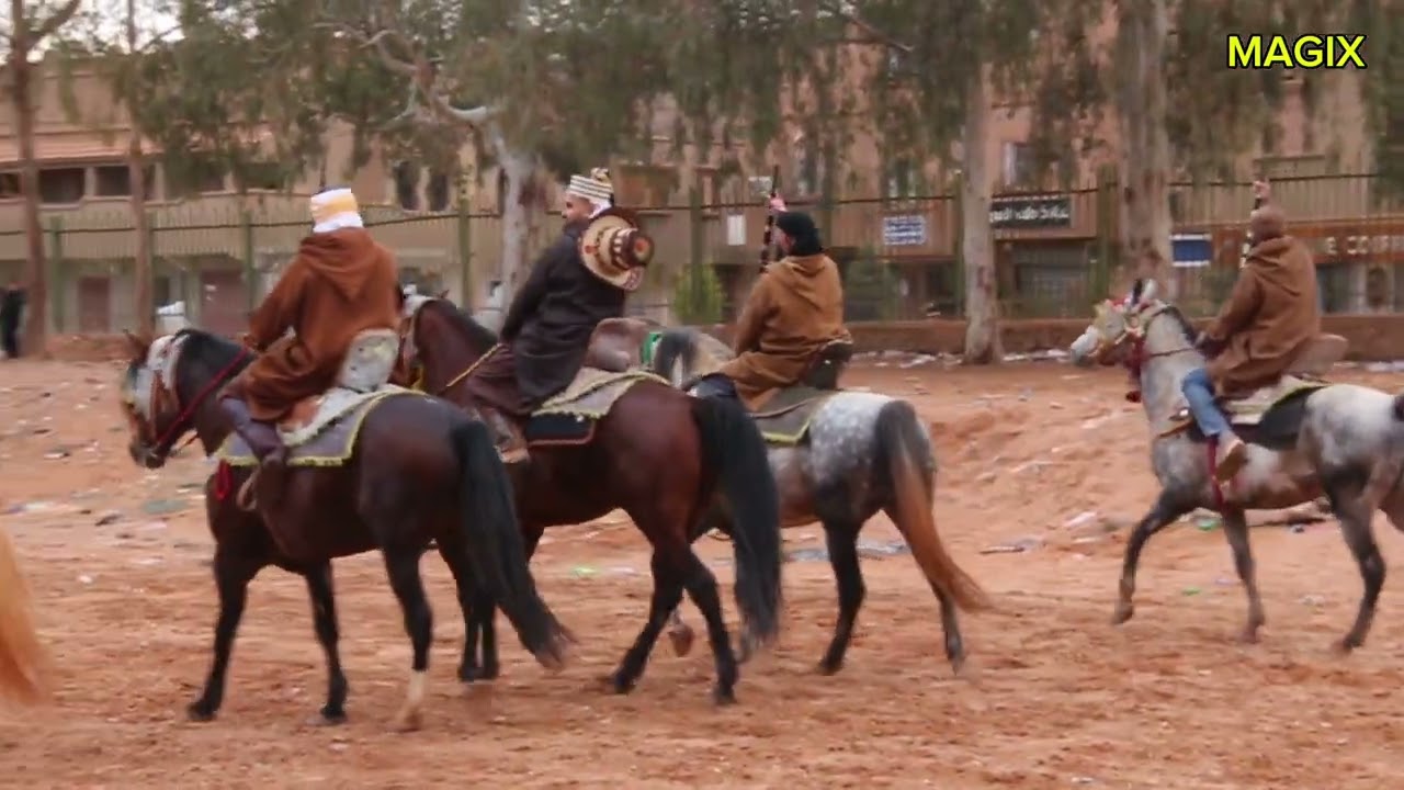 عودي يا عودي وربيتك كي ولدي في كل حفلة نمشي أنا وياك علفة الأصيل تصوير الفنان حمودة بن جراد ماجيكس