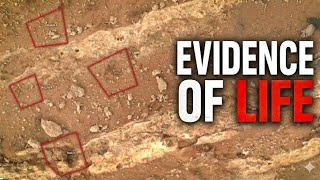 Mars has a 90%Chance of life according to NASA(Latest Discoveries explained)