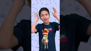 Lu Li Pampín a Mi Burro Le Duele La Cabeza #cancionesinfantiles #baile #music