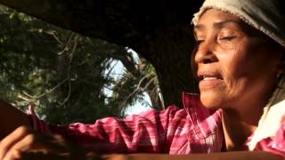 Las esteras de Chimichagua del Caribe colombiano