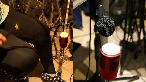 Wicked Chops Progress Video