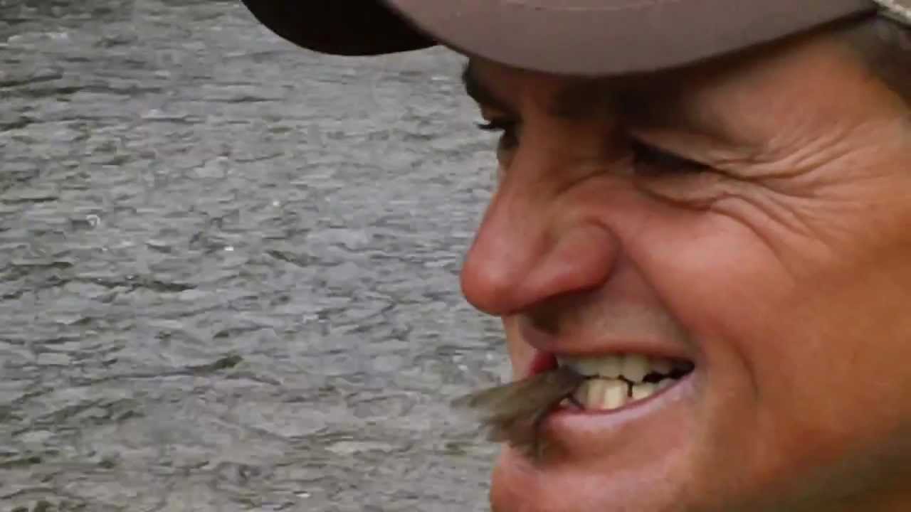 Eating Salmon flies on Rock Creek Montana YouTube