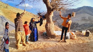 Nurturing Nature: A Nomadic Family's Journey of Planting Saplings in the Mountains