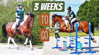 BADMINTON PREP | 3 Weeks to Go!! Training at Team Bragg Eventing