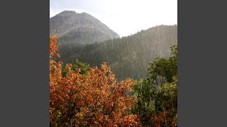 Calm Rainfall Interlude