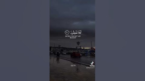 سورة القصص آية ٦٠-٦١