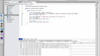 C# Coding Events 3.3 Validation Attributes Net Worth
