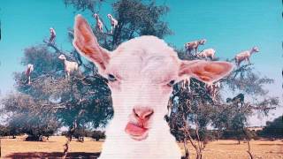 F 2017 Kaçır-Mayın