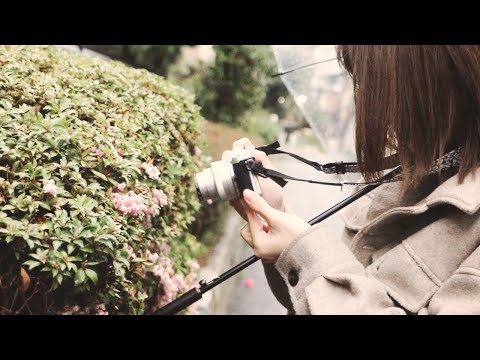 嘘 MV / 結月ゆかり
